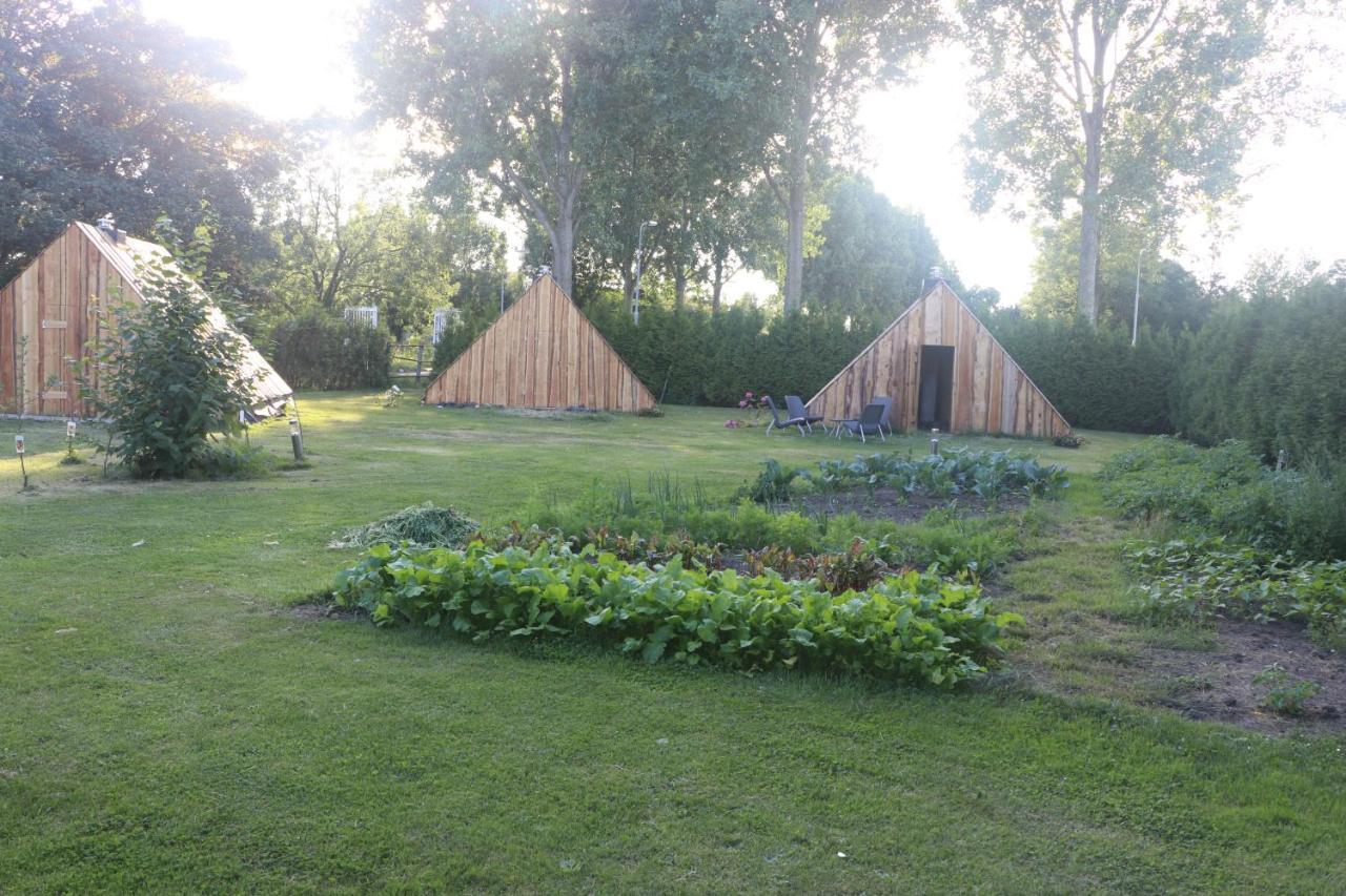 The Iceviking Village Zwaanshoek Exterior foto